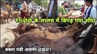 बकरा मंडी में कैसे होती है सौदागरी  largest goat market  bakra mandi ajmer 2021  pkraj vlogs