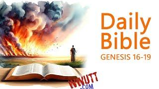 Daily Bible Reading  Genesis 16-19