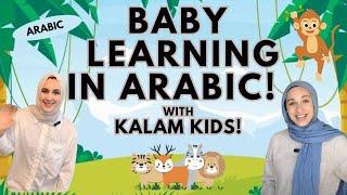 NEW Arabic Baby Learning - First Words Songs and Nursery Rhymes for Babies - Toddler Videos
