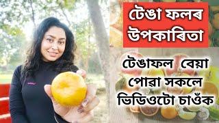 Benefits Of Citrus Fruits  Assamese Diet Video