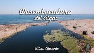 Desembocadura del Algar Altea