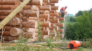 We built a house out of large logs. Step by step construction process