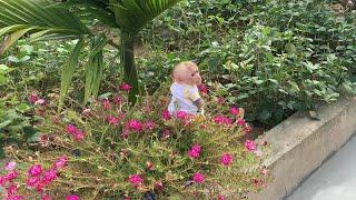 Bibi and dad harvest eggplants and vegetables and cook lunch