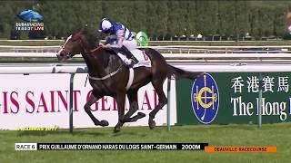 Eminent - Guillaume dOrnano Haras du Logis Saint-Germain 2017 G2