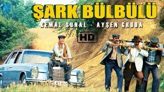 Şark Bülbülü Türk Filmi  RESTORASYONLU  Kemal Sunal Filmleri