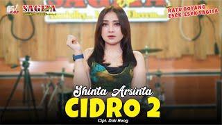 Shinta Arsinta - Cidro 2  Dangdut Official Music Video