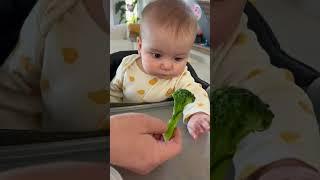 Introducing solids with Baby Led Weaning method