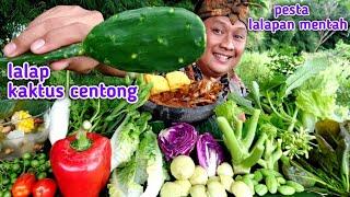 MUKBANG LALAPAN MENTAH lalap batang pepaya JENGKOL MUDA MENTAH SAMBEL TERASI IKAN ASIN TANPA NASI