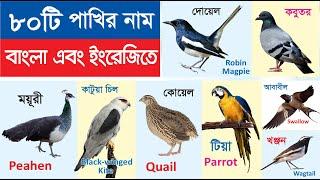 80 Birds Name  ৮০টি পাখির নাম শিখুন  Birds name in Bengali to English  পাখির নাম বাংলা ও ইংরেজিতে