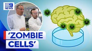 Queensland scientist’s potential treatment for COVID-19 brain fog  9 News Australia