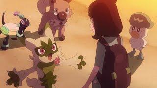 Sprigatito evolves into Floragato  Pokémon Horizons Episode 45 ENG SUB