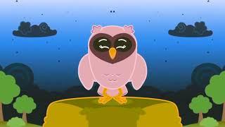 Plim Plim The Owl Is Wrong Effects  Reverse