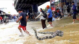 BANJIR LAGI PAMANUKAN.L 2021