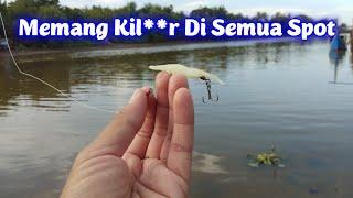 Tes Umpan Soft Lure Udang Di Air Keruh