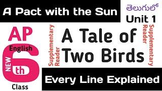 A Tale of Two Birds explained in Telugu AP CBSE Class 6 English Supplementary 1