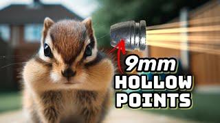 9mm Hollow Points vs. Chipmunks & Squirrels Is It Overkill?