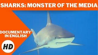Sharks Monster of the Media  HD  Dr. Erich Ritter  Documentary in English