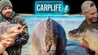 Carplife Podcast #50 Niki ist raus