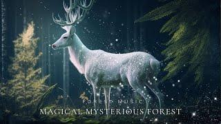 Magical Mysterious Forest  Calming The Mind Soaring Soothing with Flute Magical Sound