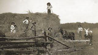 Life On A Midwestern Farm 1890 - 1910