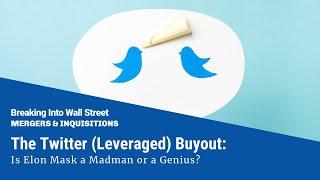 The Twitter Buyout Is Elon Musk a Madman or a Genius?