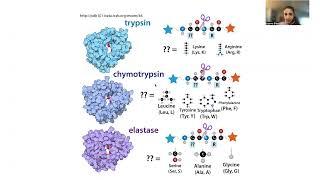 Serine protease biochemistry mechanism and inhibitors