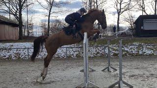 Malu und Pucci - Training 125cm am 11.03.2023