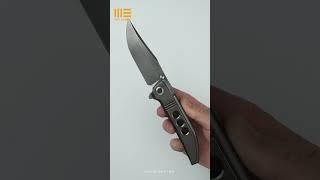 Integral WE Knife Ezinta in love