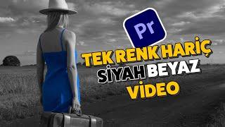 VİDEOYU TEK RENK DIŞINDA SİYAH BEYAZ YAPMA EFEKTİ  Premiere Pro Dersleri