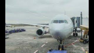 American Airlines Airbus A330-300  Phoenix to Charlotte   4K Video