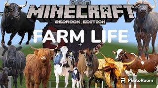 All breeds of cows in the farm Addon in Minecraft PE