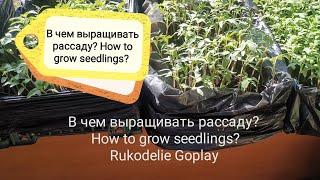 GARDEN В чем выращивать рассаду? How to grow seedlings?