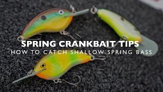 Rapala®  Spring Crankbait Tips for shallow bass with Ott Defoe