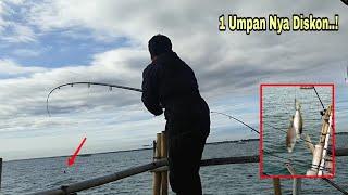 SADIS JORAN SAMPAI NUKIK  MANCING BAGAN TERBARU BAGAN TANJUNG KAIT