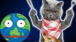 Котик Едун и съедобная планета мультик игра Детский летсплей Tasty Planet #3