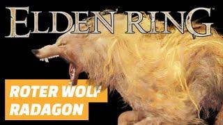 Elden Ring - Boss Roter Wolf Radagon besiegen Zauber Komet und Götzenschule Talisman finden