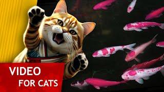 Movie for Cats - Purple Koi Carps Fish video for Cats to watch 4K