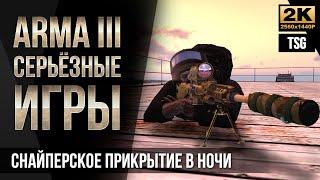 Снайперское прикрытие в ночи • ArmA 3 Серьезные игры 2K