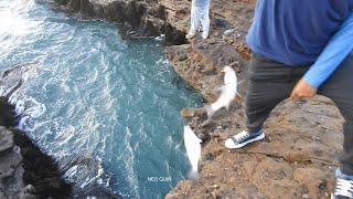 PESCA GENIAL en la madrugada dos hombres capturan peces de a dos y llenan sus canastas