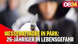 Messerattacke in Park 26-Jähriger lebensgefährlich verletzt