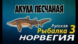 Русская рыбалка 3.99 Акула песчаная