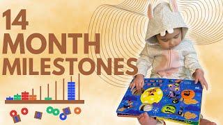 14 MONTH OLD DEVELOPMENTAL MILESTONES + ACTIVITIES  Research-Based Toddler Development Milestones