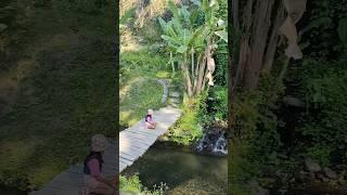 Beautiful Place in Bali Wisata Indah  Mahagangga di Bali #bali #mahagangga #river #beautifulview