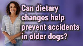 Can dietary changes help prevent accidents in older dogs?