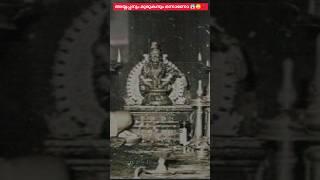 ശബരിമല അയ്യപ്പനും പഴനിമുരുകനും  ഒരേ തത്വമാണോ??  #difference #ayyappa #pazhani #murugan #factshorts
