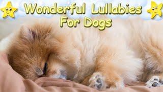 Sleep Music For Pomeranian Puppies  Relax Your Dog Nature Bird Sounds  Piano Lullaby For Animals