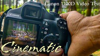 Canon 1100D Video Test With 18-55 Lens  Cinematic Video