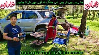 SHARAN FOREST + Camping Pods  Most Beautiful Place in NARAN kaghan valley  #gopaknorth