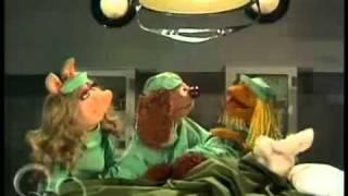 The Muppet Show   Veterinarian s Hospital  Bunny