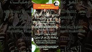 Ini rupanya doa Untuk Seluruh Umat Islam #nurimanchannel #doaharian #doaharianmuslim